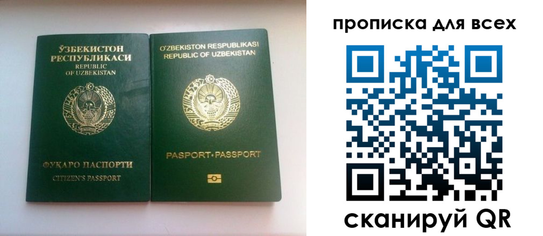 прописка для школы в Чкаловске